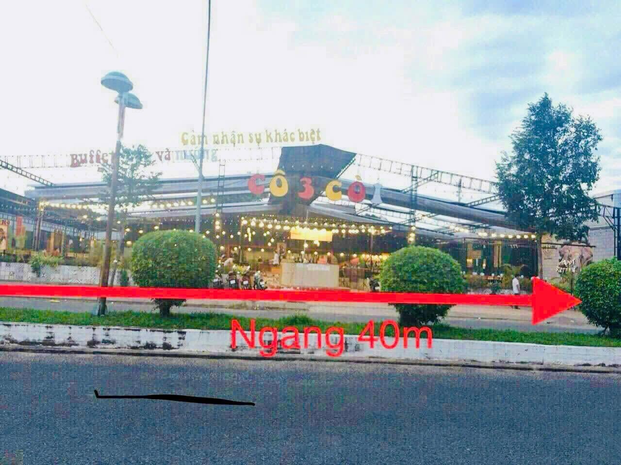 Ảnh 2