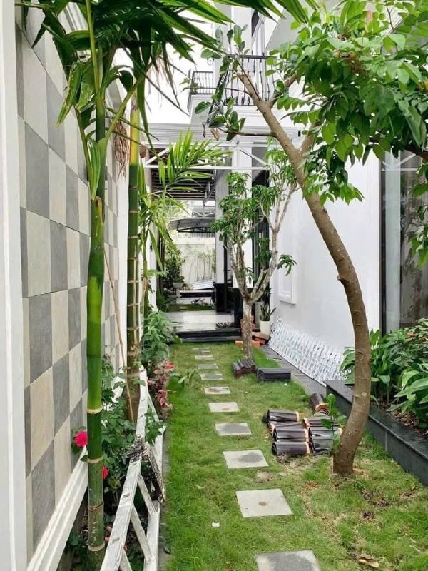 Ảnh phụ 3